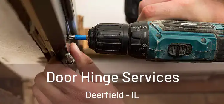 Door Hinge Services Deerfield - IL