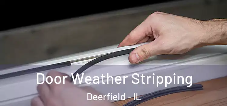 Door Weather Stripping Deerfield - IL
