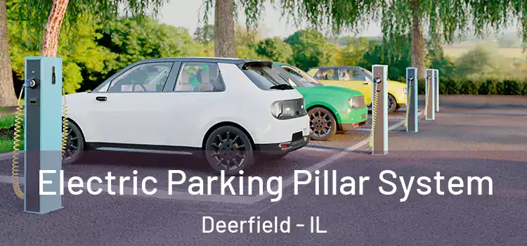 Electric Parking Pillar System Deerfield - IL