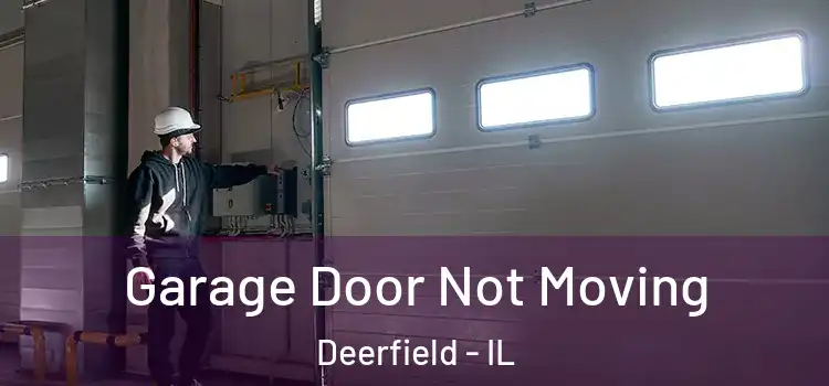  Garage Door Not Moving Deerfield - IL