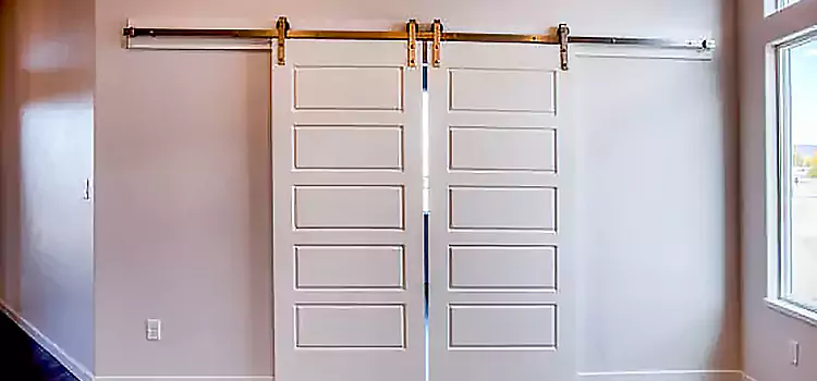 Glass Barn Door with Installation Hardware Kit Deerfield