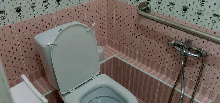 Meeting Diverse Needs With Accessible Restroom Solutions in Deerfield, IL