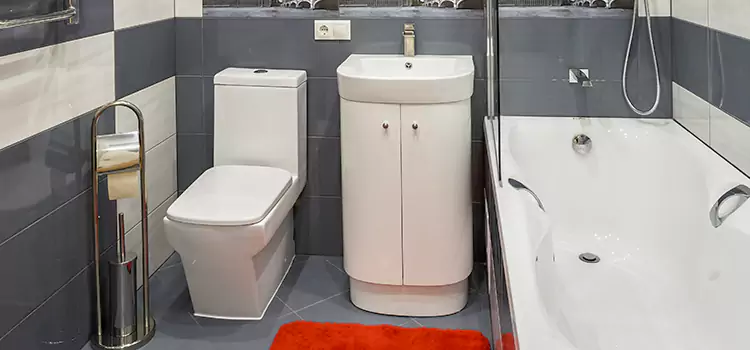 Hansgrohe Shaving Mirror Deerfield