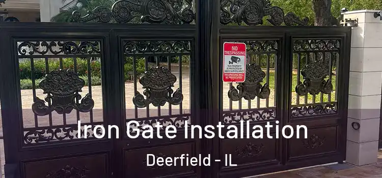 Iron Gate Installation Deerfield - IL