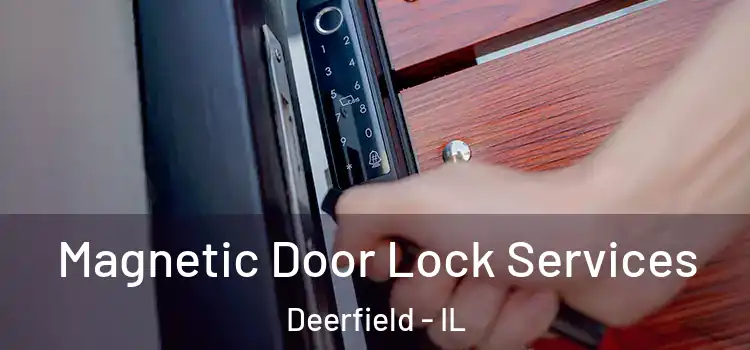  Magnetic Door Lock Services Deerfield - IL
